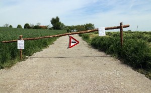 road-block-340196_640