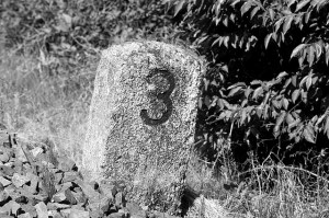 district-3670200_640